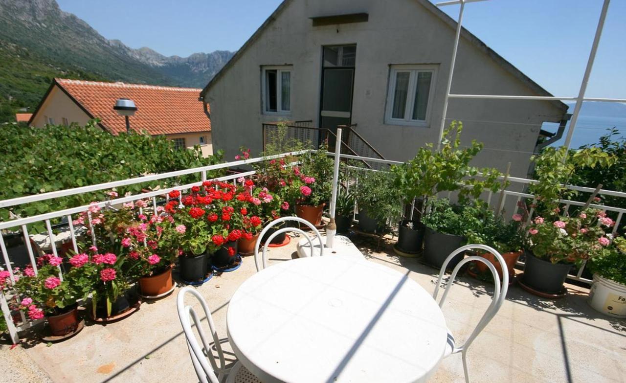 Hotel Vila Stefan Podaca Zewnętrze zdjęcie